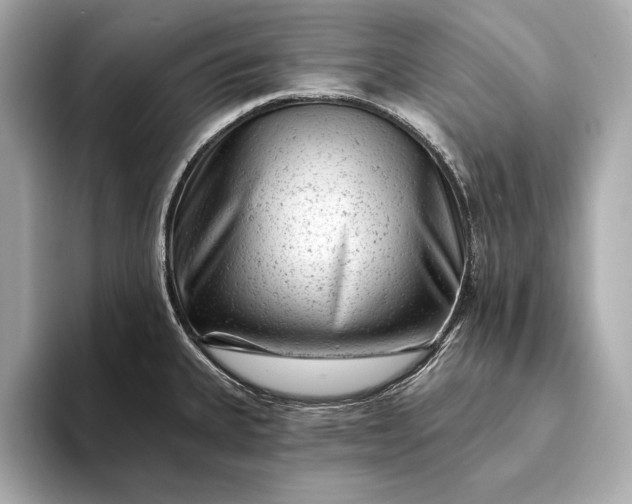 X0000093421335200710260950