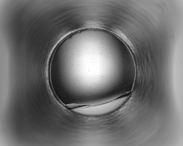 X0000093421339200710260950