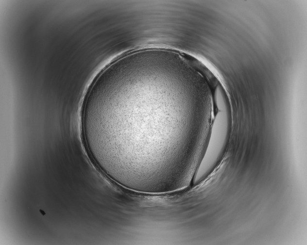 X0000093421341200710260950