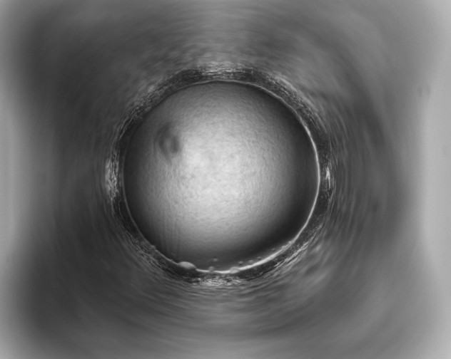 X0000093421348200710260950