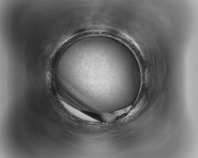 X0000093421352200710260950