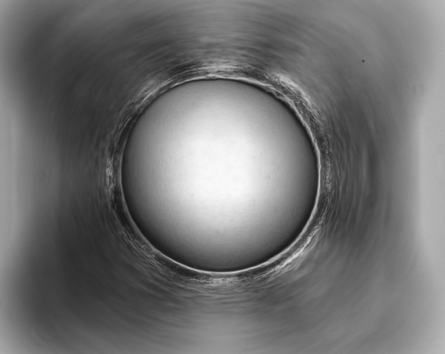 X0000093421353200710260950