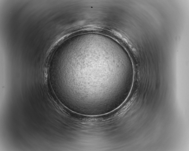 X0000093421355200710260950