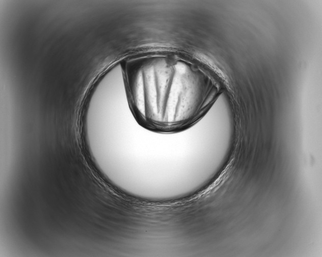 X0000093421357200710260950