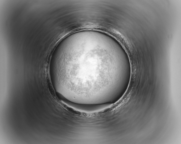 X0000093421361200710260950