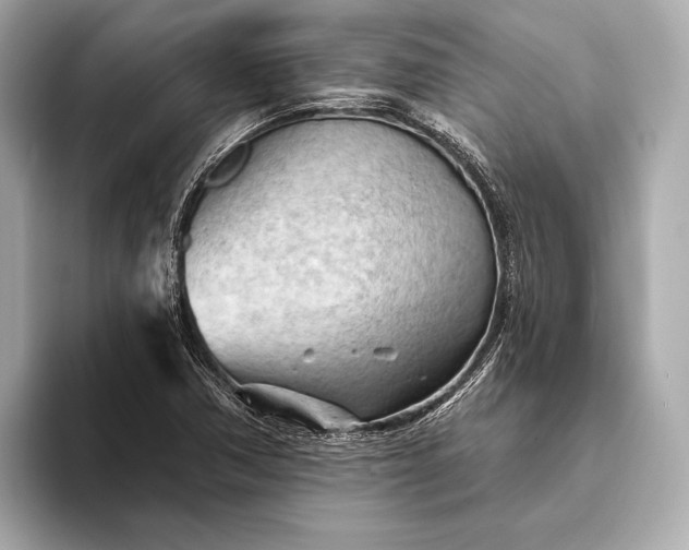 X0000093421362200710260950