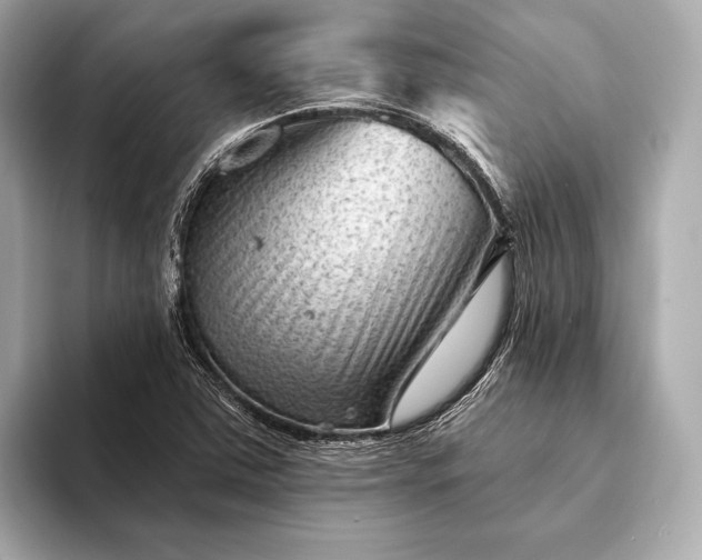 X0000093421363200710260950