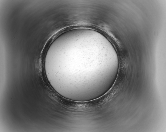 X0000093421364200710260950