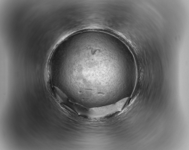 X0000093421367200710260950