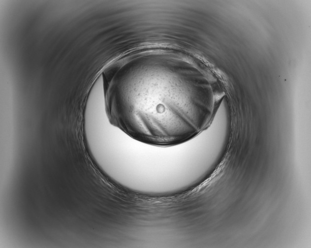 X0000093421369200710260950