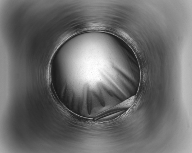 X0000093421370200710260950