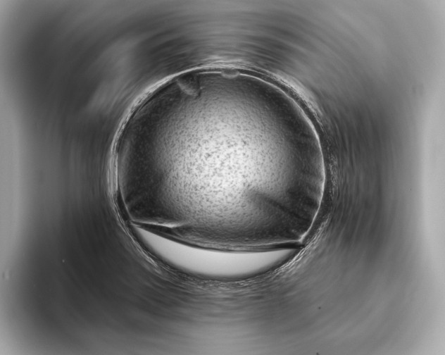 X0000093421371200710260949