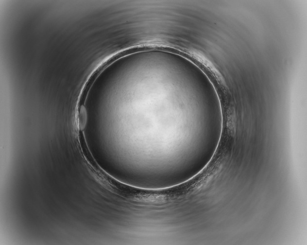 X0000093421372200710260949