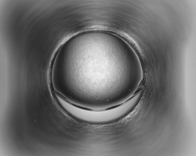 X0000093421373200710260949