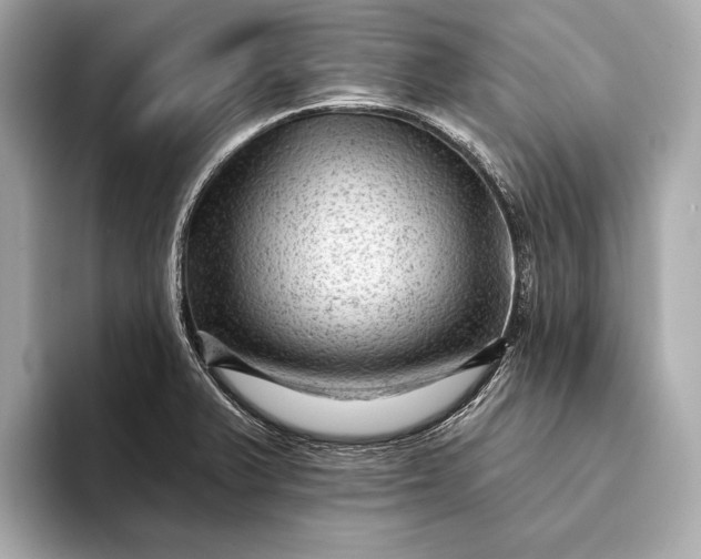 X0000093421375200710260949