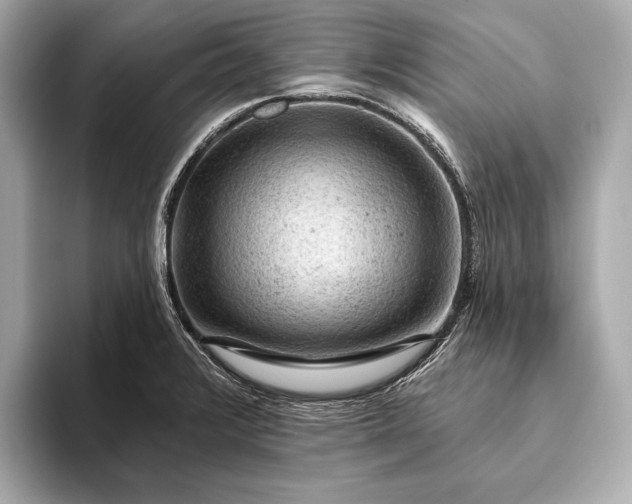 X0000093421376200710260949