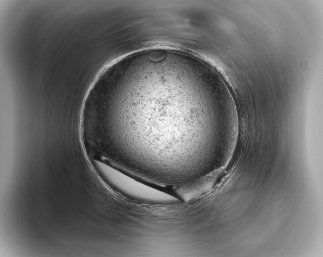 X0000093421379200710260949