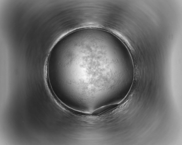 X0000093421383200710260949