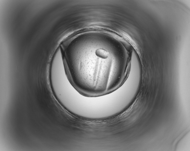 X0000093421384200710260949