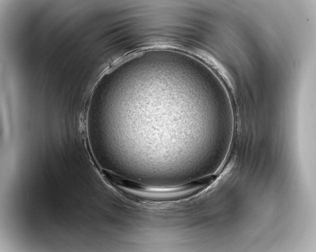 X0000093421385200710260949