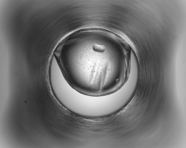 X0000093421388200710260949