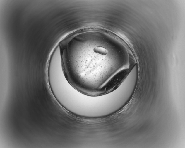 X0000093421392200710260949