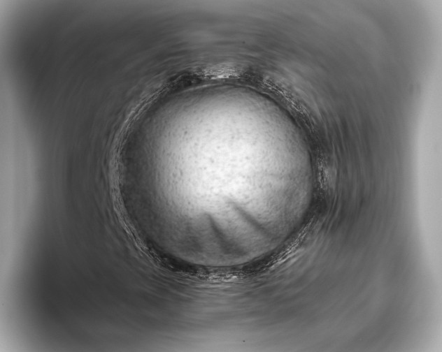 X0000093421393200710260949