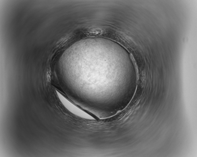 X0000093421394200710260949