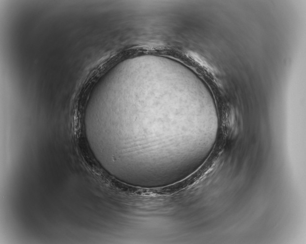 X0000093421398200710260949