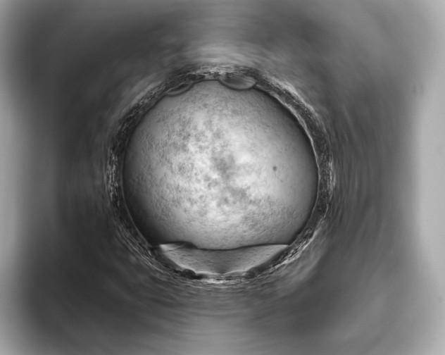 X0000093421399200710260949