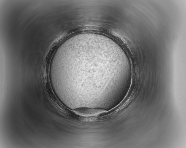 X0000093421403200710260949