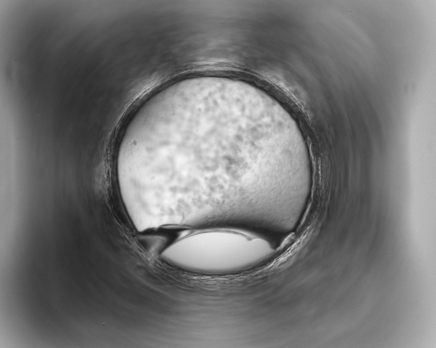 X0000093421405200710260949