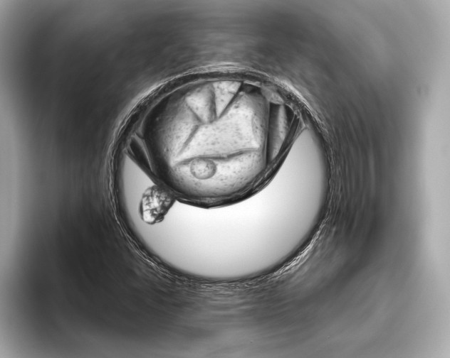 X0000093421406200710260949