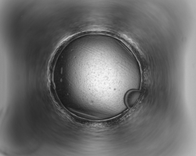 X0000093421408200710260949