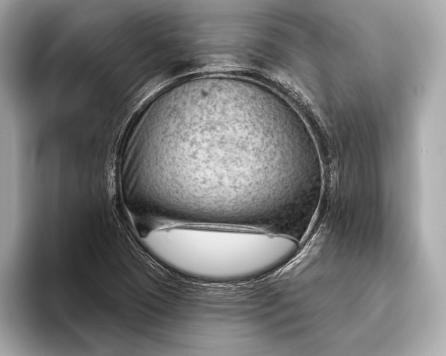 X0000093421409200710260949