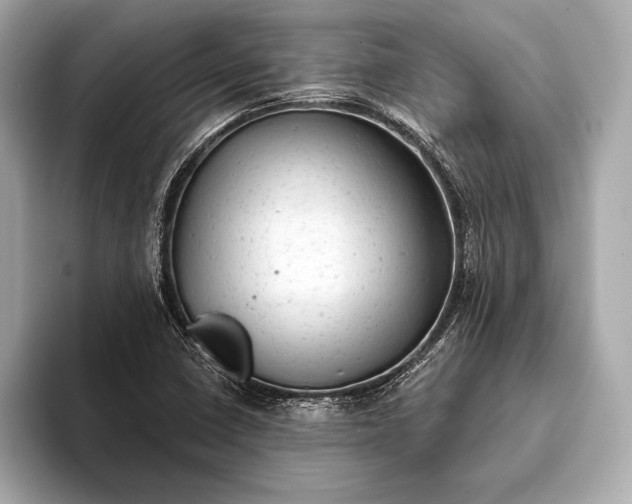 X0000093421410200710260949