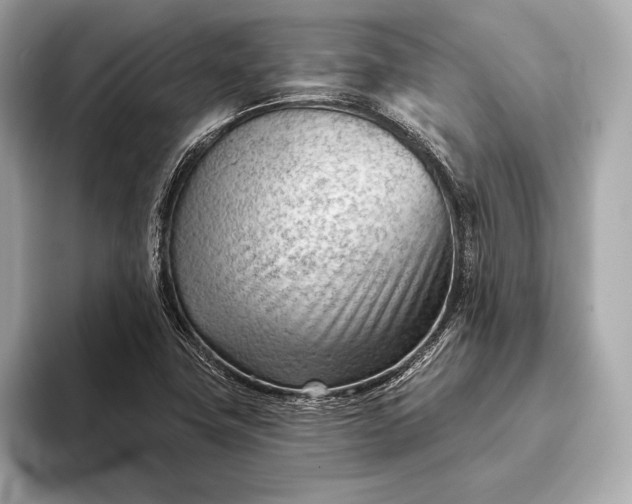 X0000093421411200710260949