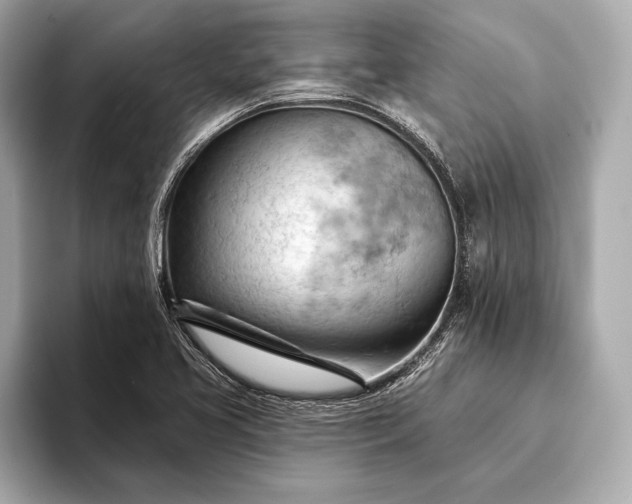 X0000093421413200710260949