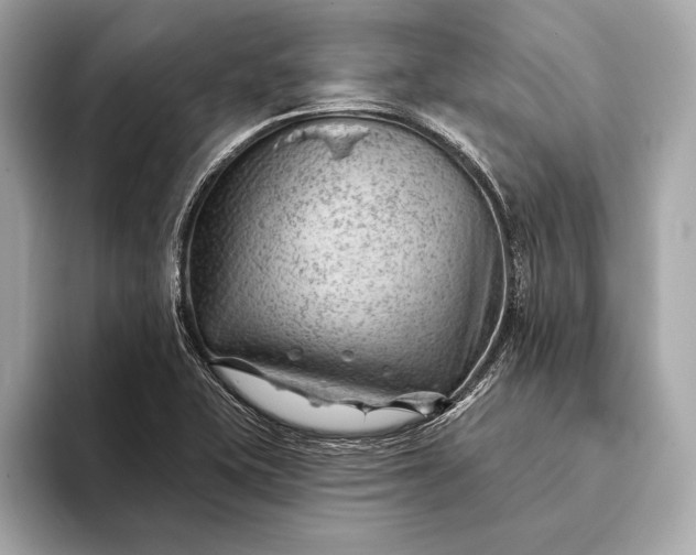 X0000093421415200710260949