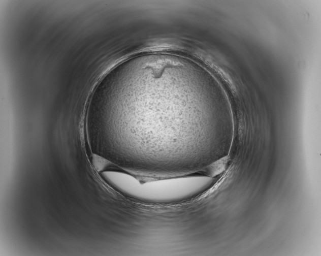 X0000093421417200710260949