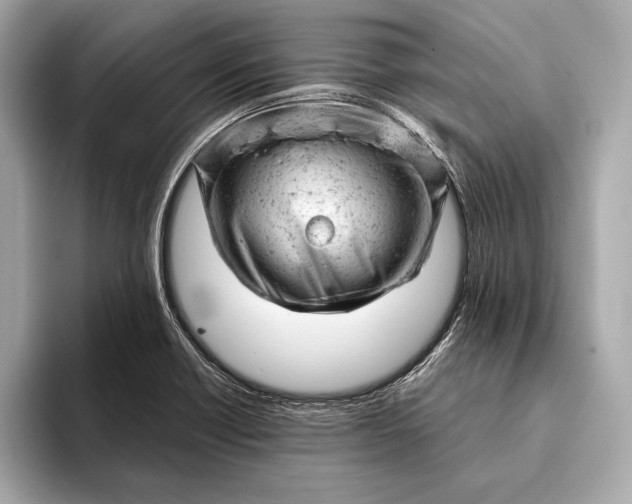 X0000093421418200710260949