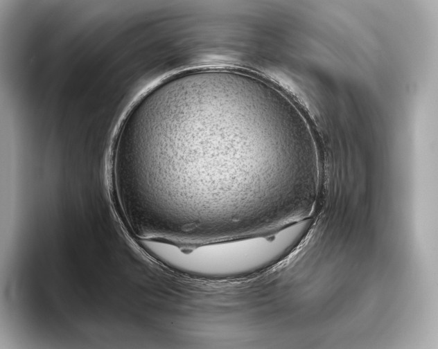 X0000093421421200710260949