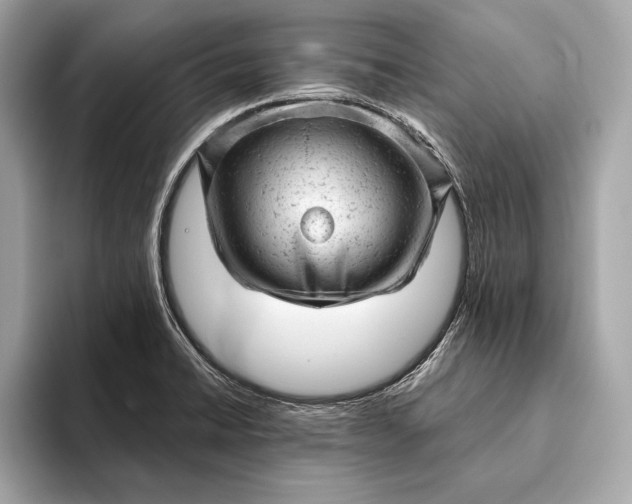 X0000093421422200710260949