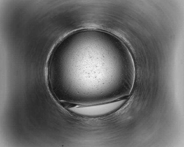 X0000093421424200710260949