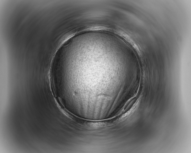 X0000093421425200710260949