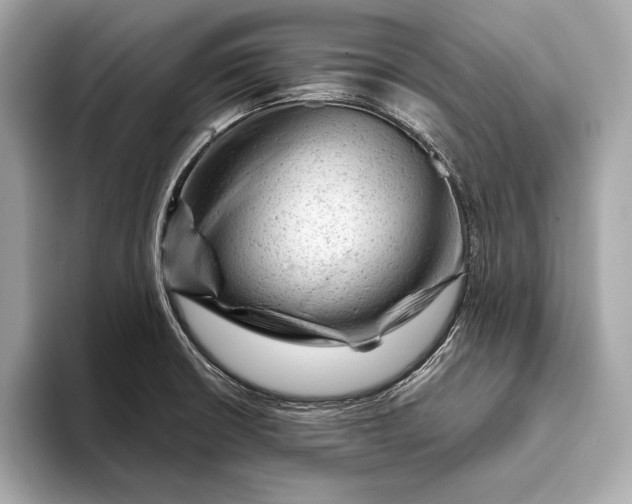 X0000093421426200710260949