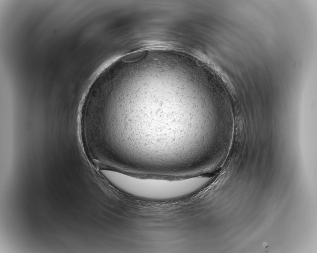 X0000093421427200710260949