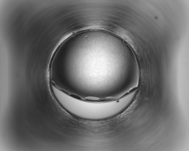 X0000093421428200710260949