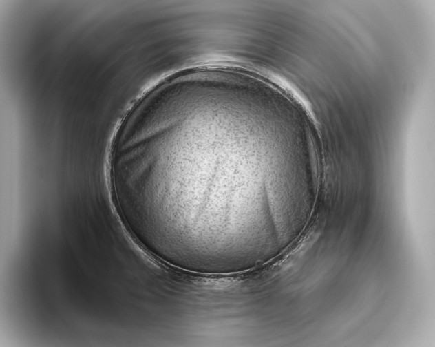 X0000093421429200710260949