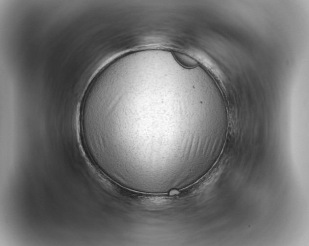 X0000093421431200710260949